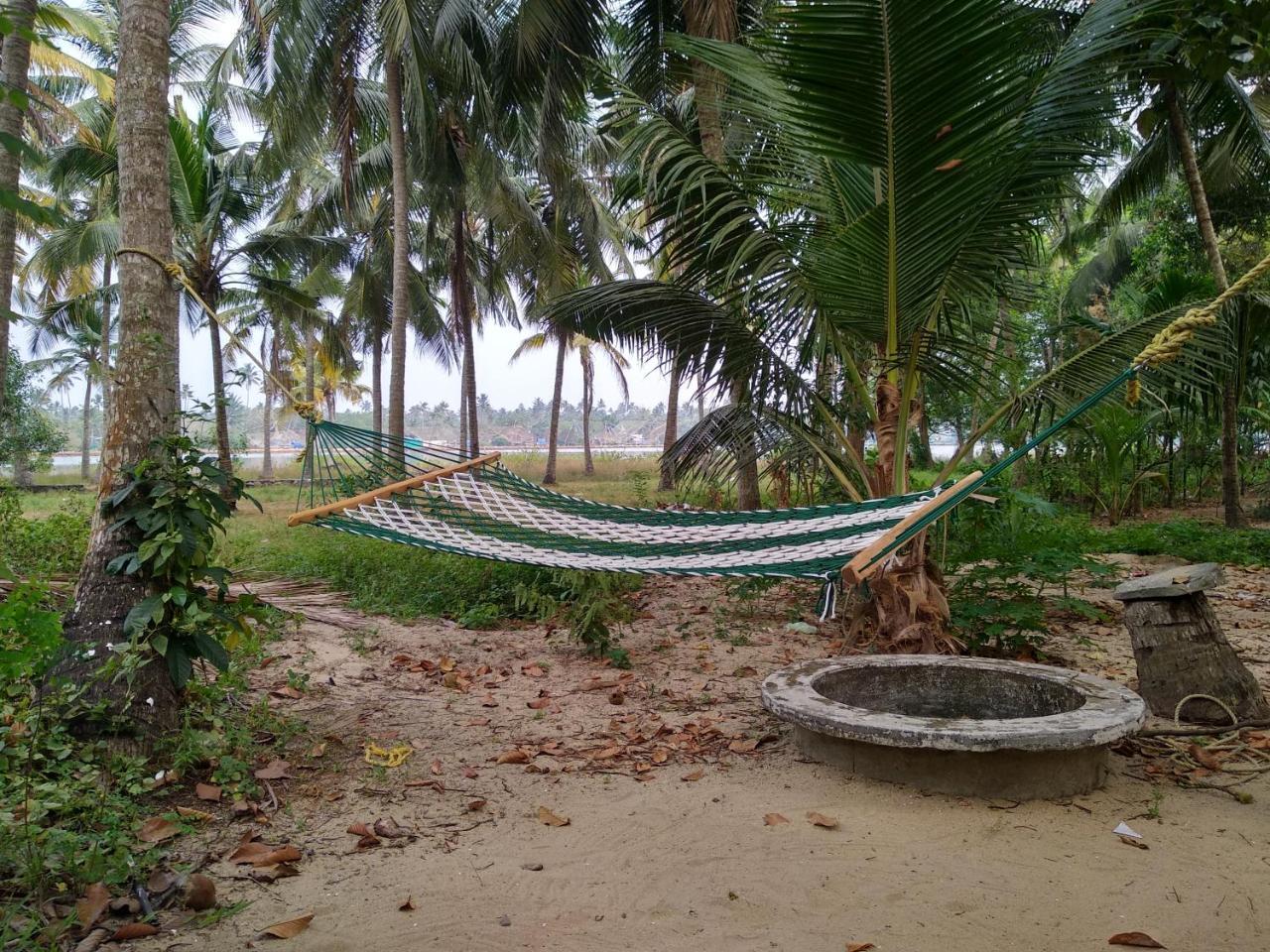 Blue Birds Homestay Cherai Beach Zewnętrze zdjęcie