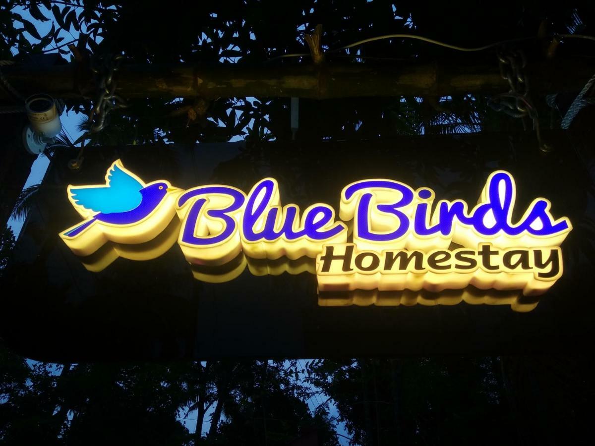 Blue Birds Homestay Cherai Beach Zewnętrze zdjęcie